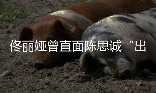 别门佟丽太关直面注我家事娅曾陈思诚出轨